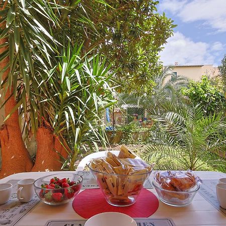 B&B Cristina Garden Pisa Exterior photo
